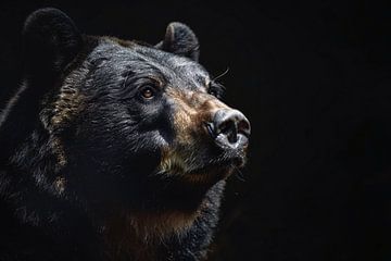 Bärenporträt in kontrastreichem Schwarz und Weiß