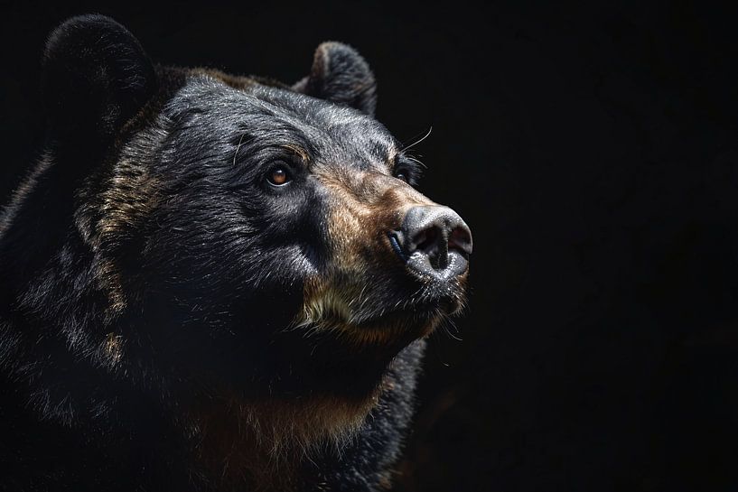 Bärenporträt in kontrastreichem Schwarz und Weiß von Art & Soul Creations
