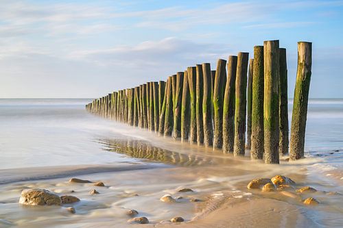 Houten palen aan de kust
