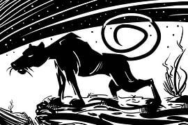 Nachtstreife von Ümit Elveren