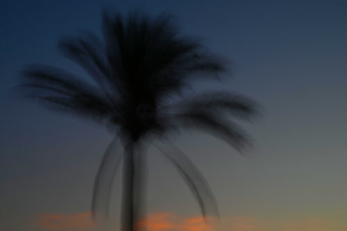 PALME 1
