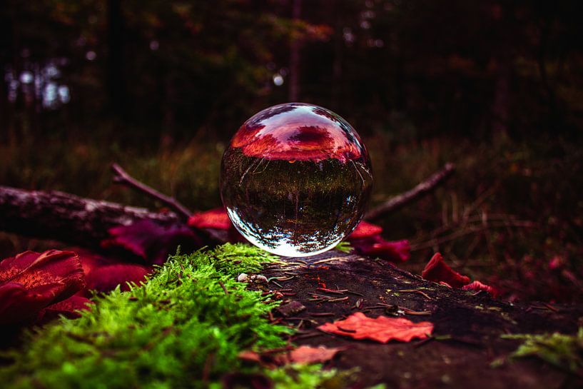 lensball by b.dutch