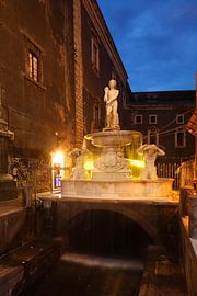 Amenano Brunnen beim Piazza del Duomo bei Abendämmerung, Catania, Sizilien, Italien, Europa von Torsten Krüger