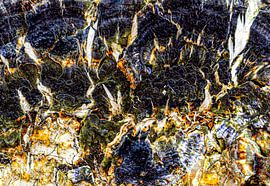 Abstract nature art in purple and blue - poetic macro photography by Sia Windig