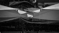 If the rain comes they run and hide their heads