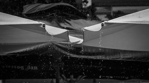 If the rain comes they run and hide their heads