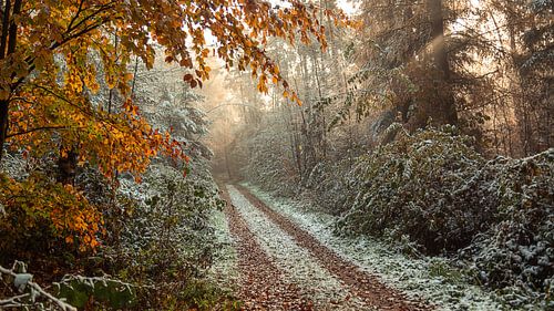 L'hiver sur les chemins de l'église