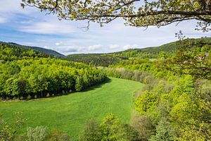 Landscape in the Thuringia Forest, Germany van Rico Ködder