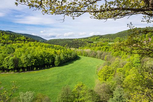 Landscape in the Thuringia Forest, Germany