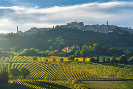 Montepulciano Village and Golden Vineyards at Morning, Tuscany by Stefano Orazzini