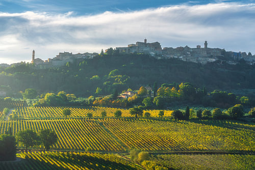 Het dorp Montepulciano en de goudkleurige wijngaarden bij zonsopgang, Toscane