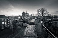 Uitzicht op Leiden van Martijn van der Nat thumbnail