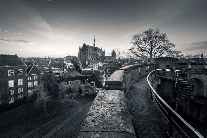 View of Leiden by Martijn van der Nat