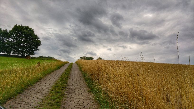 Weg by Andrea Meister