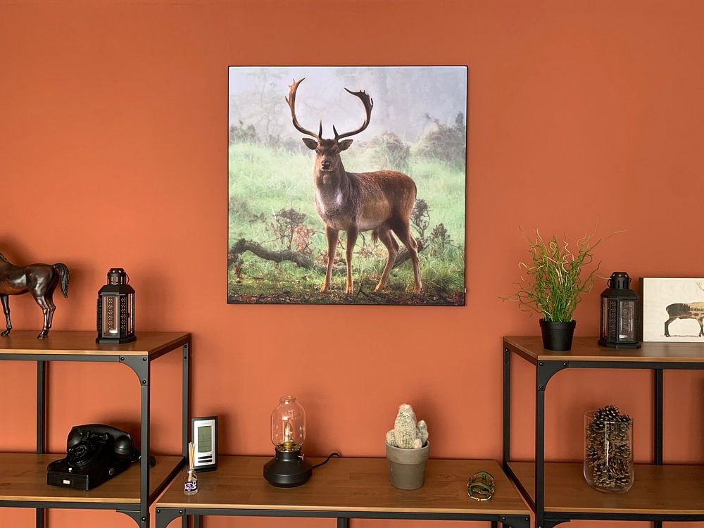 Poserend Damhert van Ruud Peters