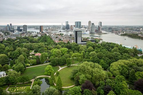 Harmony of the Seas à Rotterdam sur MS Fotografie | Marc van der Stelt