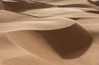 Zandduinen in de grootste woestijn van Afrika van Photolovers reisfotografie thumbnail