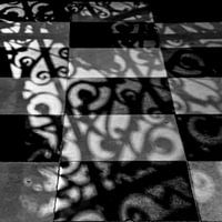 Parijse reflectie