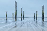La marée à Palendorp Petten