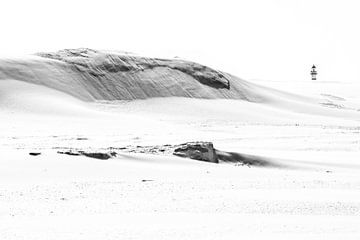 Vuurtoren van Ameland achter duinen - Natuurlijk Ameland van Anja Brouwer Fotografie