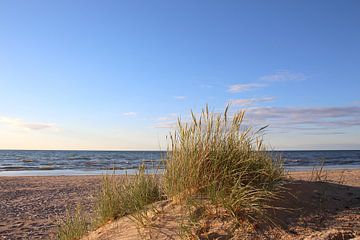 Après la pluie sur Ostsee Bilder