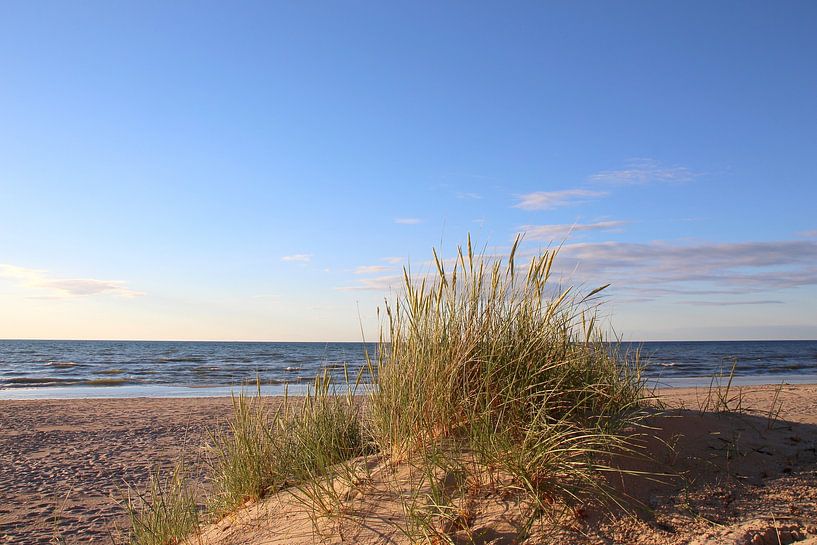 After the rain by Ostsee Bilder