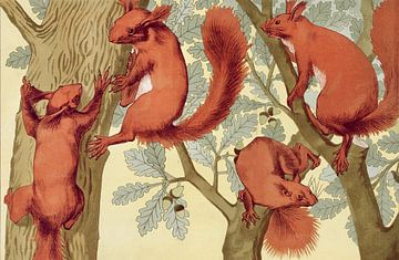 Eekhoorns, Maurice Pillard Verneuil