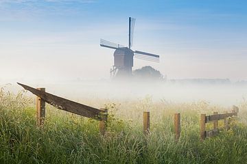 Fraaie start van de dag van Halma Fotografie