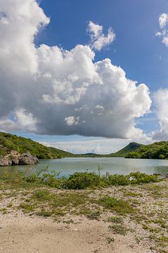 Natuur gebied st michiel curacao van Gladys van Schaijk