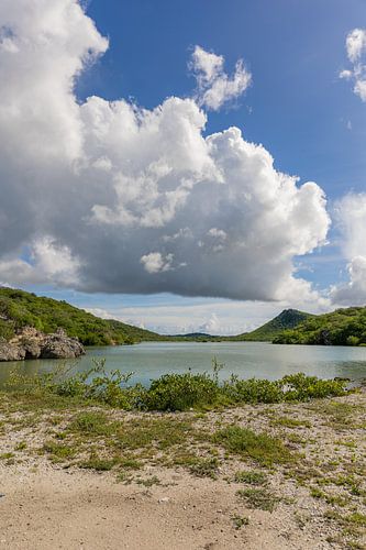 Natuur gebied st michiel curacao