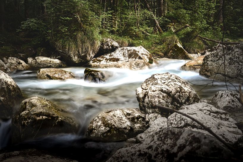 Enchanted forest by K. Engelhardt Photography