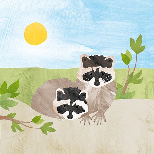 Wasbeertjes in de zon