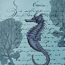 The seahorse by christine b-b müller thumbnail
