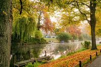 Park in Leiden
