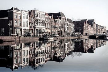 Perfecte reflectie in het water