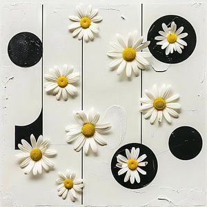 Daisies