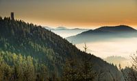 Black Forest near Oppenau in winter