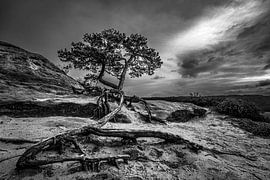 Den op zandstenen top