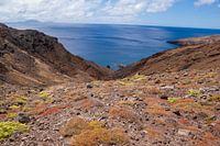 Terrain rocheux en forte pente et envahi par la végétation, avec la mer en arrière-plan