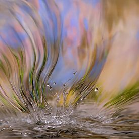 Dans van het water van Photoart-Naegele