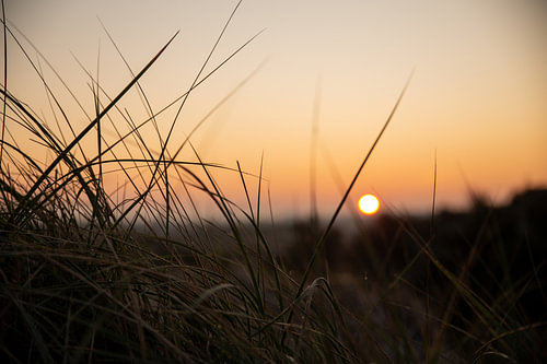 Zonsopkomst