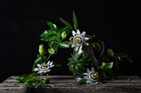 passieflora