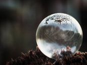 Bevroren zeepbel #3 van Lex Schulte thumbnail