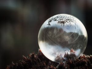 Bulle congelée n°3