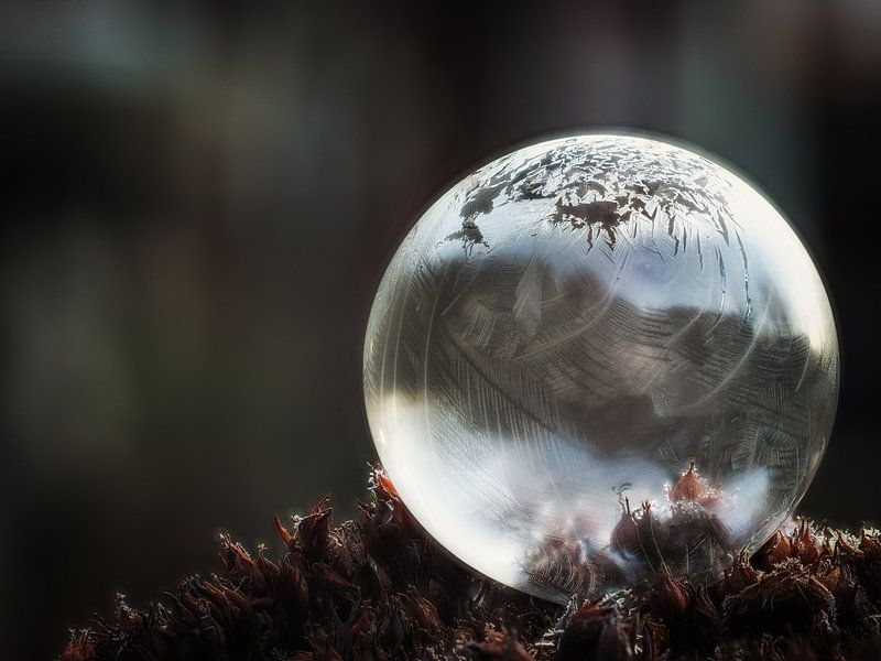 Bevroren zeepbel #3 van Lex Schulte