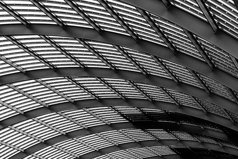Ceiling of the new part of Amsterdam Central Station by Bart Rondeel