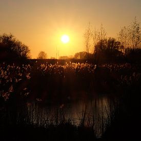 Landschap met een ondergaande zon. von Myrte Wilms