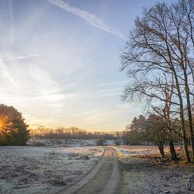 le soleil se lève sur Dirk van Egmond