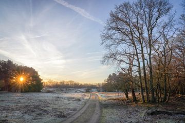 zon komt op van Dirk van Egmond