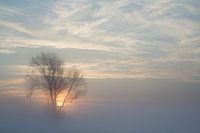 Lever de soleil à travers le brouillard